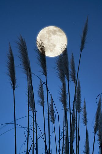 Full Moon