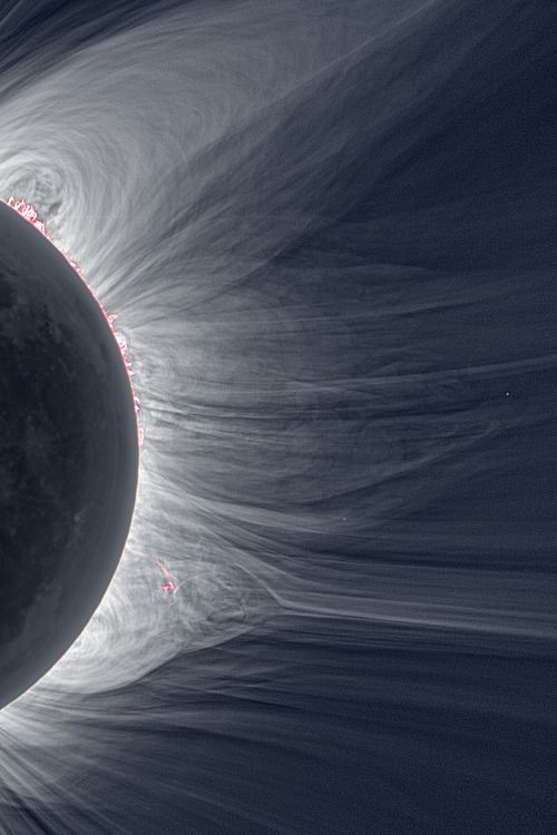 zerostatereflex: Detailed View of a Solar Eclipse Corona "Only in the fleeting darkness of a total solar eclipse is the light of the solar corona easily visible."