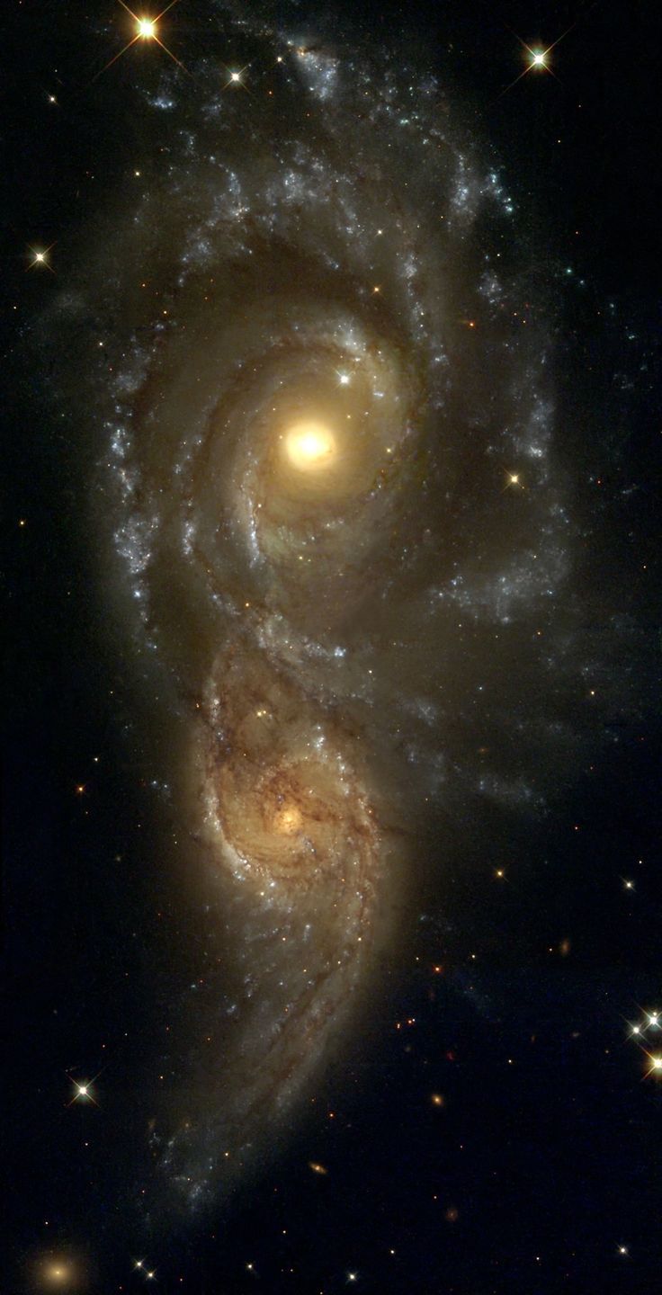NGC 2207 & IC 2163 are a pair of colliding spiral galaxies about 80 mly away in Canis Major. Both galaxies were discovered by John Herschel in 1835. So far 4 supernovae have been observed in NGC 2207.  The most recent encounter peaked 40 Ma. The small