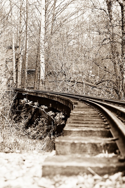 I've always loved train tracks♥