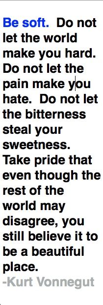 Be soft. Do not let the world make you hard. Do not let the pain make you hate. Do not let the bitterness steal your sweetness. Take pride that even though the rest of the world may disagree, you still believe it to be a beautiful place. ~Kurt Vonnegut