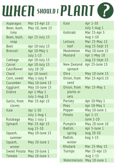 Vegetable Planting Schedule