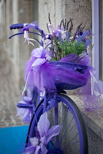 Love. Purple