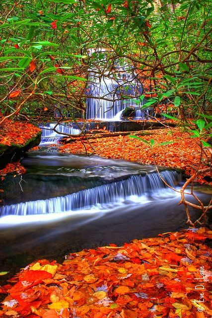 North Carolina Autumn