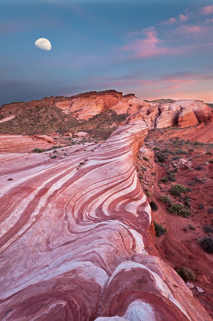 New Mexico
