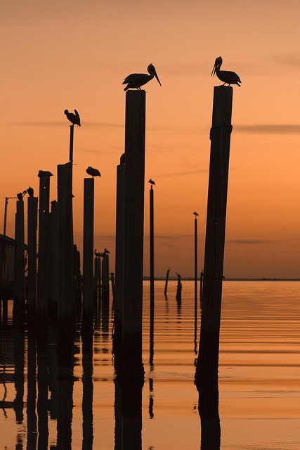 St Simons Island