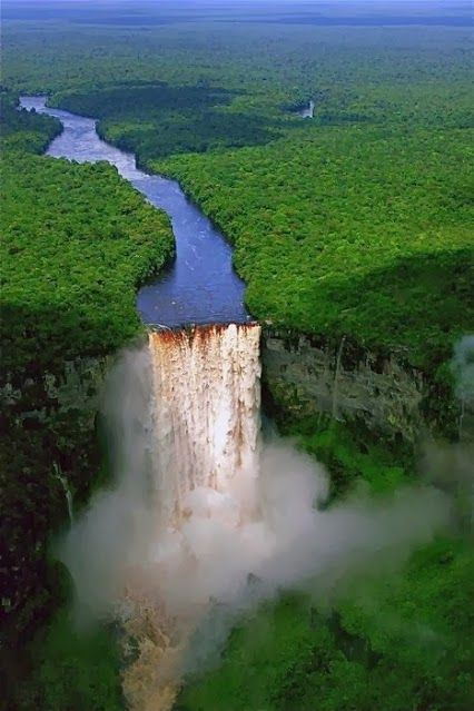 Amazon Rainforest