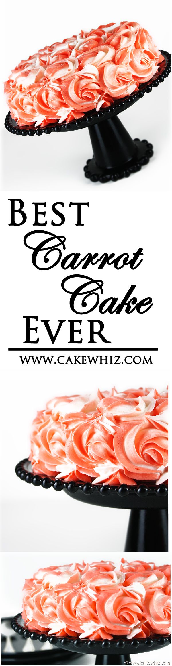 The BEST CARROT CAKE ever! Everyone always asks for my recipe. And I also did a tutorial on these easy BUTTERCREAM ROSES so that your cake looks pretty too :) From cakewhiz.com