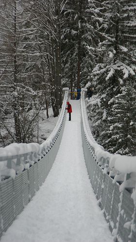 Go somewhere unexpected in the snow - Jay Cooke State park, outside Duluth, MN