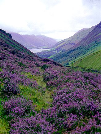 Breathtaking Scottish Highlands