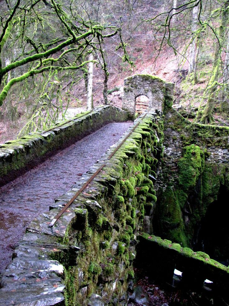 Stone bridge at The Hermitage site in Dunkeld, Scotland. The bridge dates to 1770.