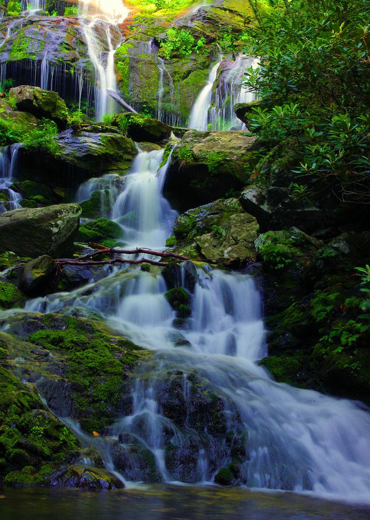 Catawba Falls waterfall in Pisgah National Forest near Asheville NC