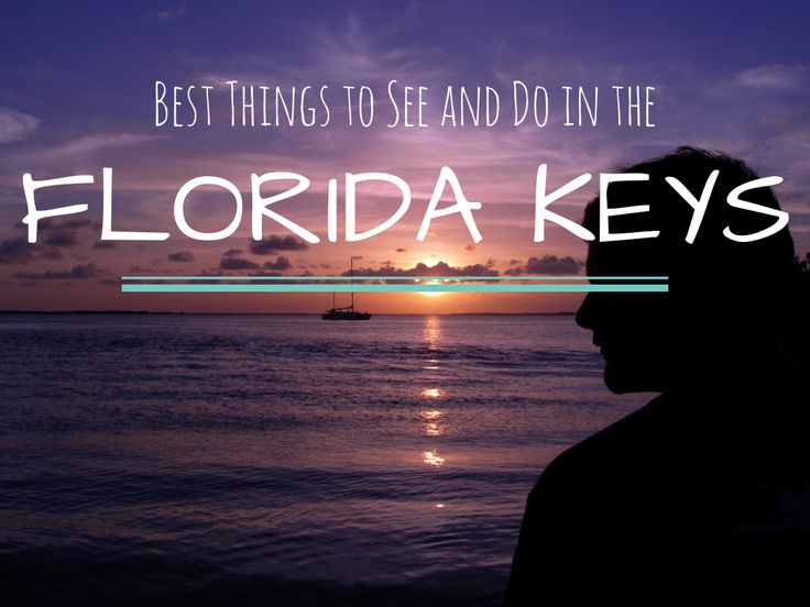 Best things to see and do in the Florida Keys! >> a great resource!” title=”Best things to see and do in the Florida Keys! >> a great resource!”/></a>
    </div>
        <div class=
