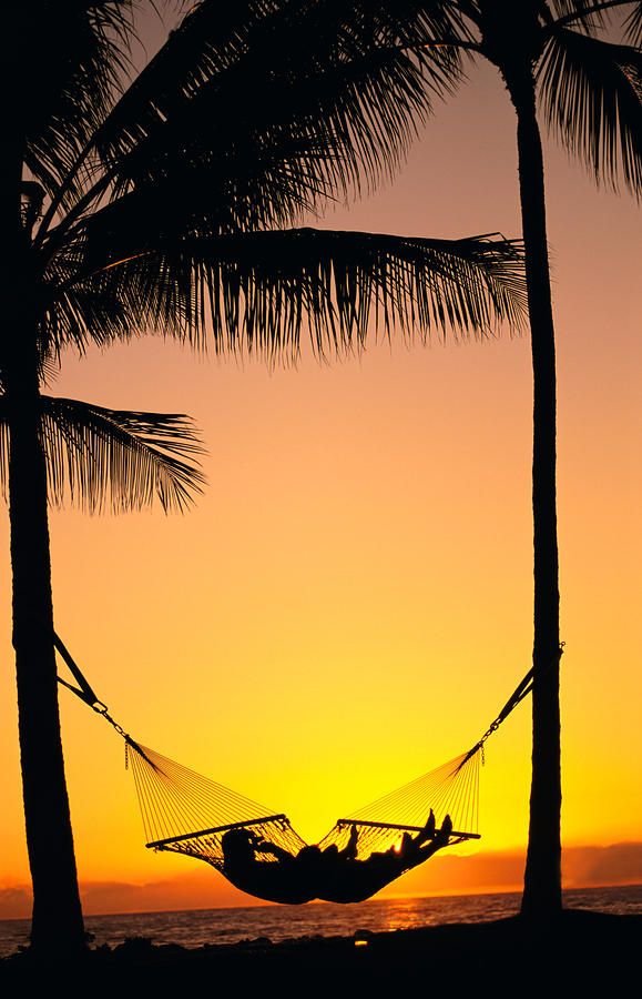 Sunset Hammock -Caribbean '