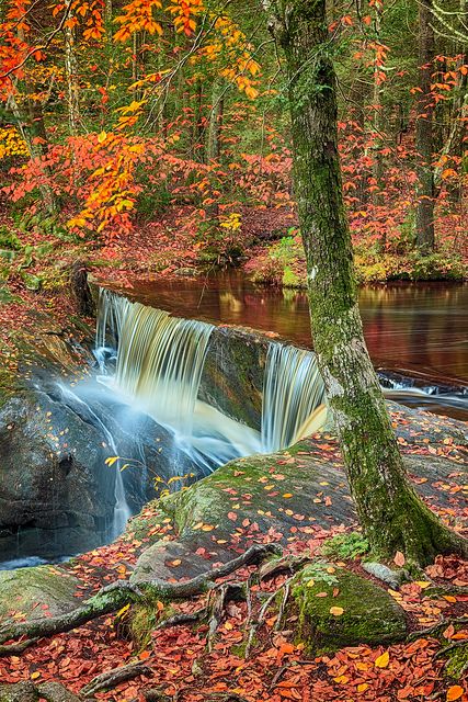 Visiting All 50 States: Lots of beautiful state parks in Connecticut