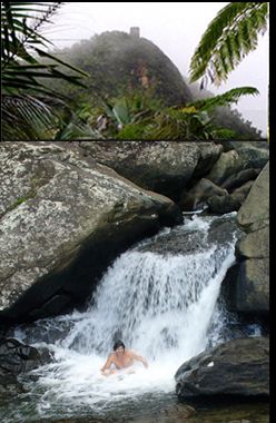 El Yunque or Rainforest in Puerto Rico. So beautiful && Hiking up to the waterfall is must
